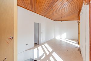 Image 11 - 298444
