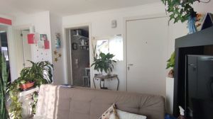 Image 4 - 299186