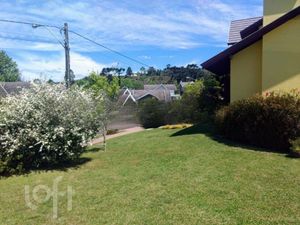 Image 3 - 299294