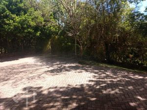 Image 18 - 299294