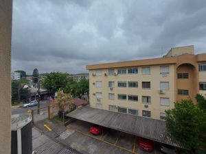 Image 15 - 299335