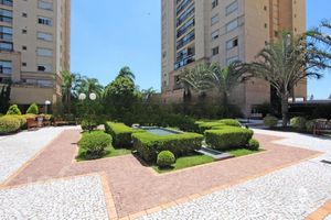 Image 23 - 299532