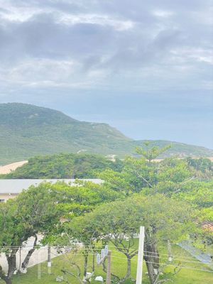 Image 14 - 299722