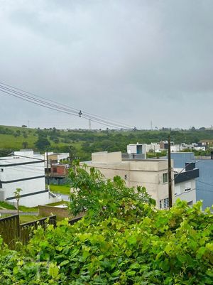 Image 21 - 299880