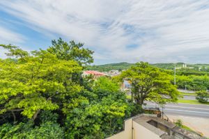 Image 4 - 300146
