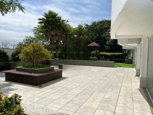 Image 19 - 302026