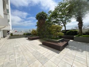 Image 15 - 302026