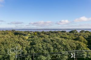 Image 49 - 302059