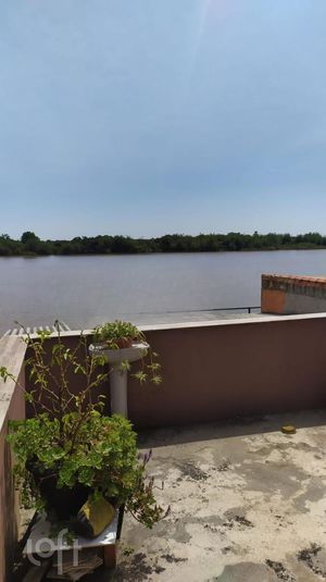 Image 10 - 302316