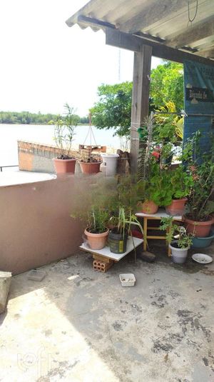Image 7 - 302316
