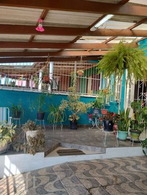 Image 15 - 302426