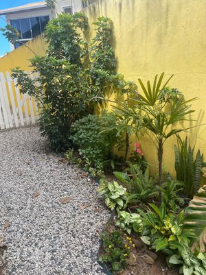 Image 17 - 302446