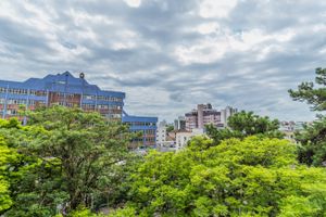 Image 10 - 302519