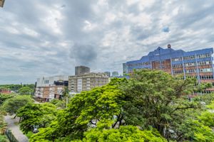 Image 15 - 302519