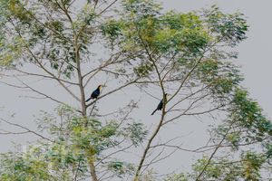 Image 34 - 302547