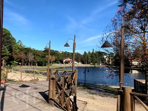 Image 6 - 302553