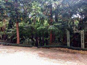 Image 4 - 302553