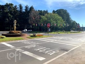 Image 5 - 302553