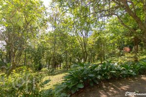 Image 32 - 302770