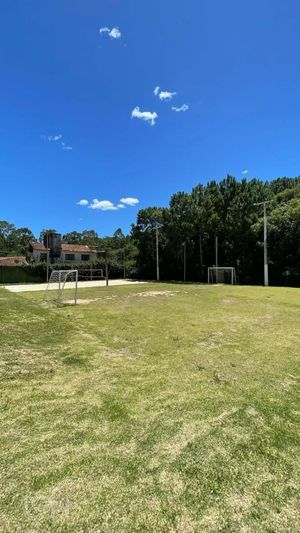 Image 17 - 302946