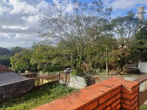 Image 3 - 303188