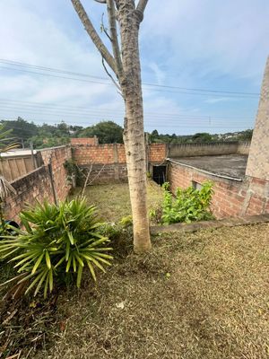 Image 15 - 303353