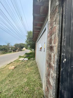 Image 21 - 303353