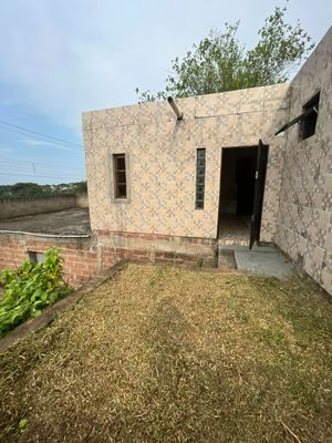 Image 20 - 303353
