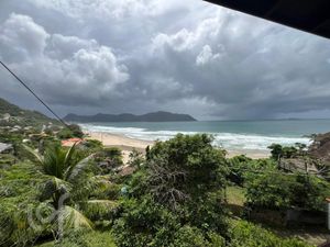 Image 6 - 303437