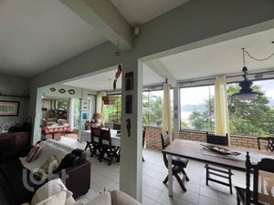 Image 23 - 303437