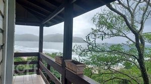 Image 4 - 303437