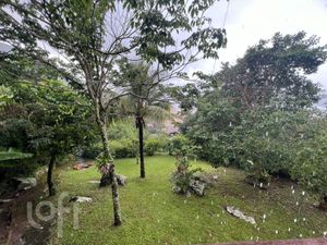 Image 26 - 303437