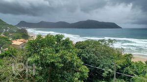 Image 3 - 303437