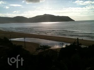 Image 2 - 303437