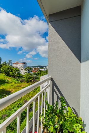 Image 4 - 303582