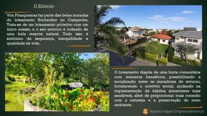 Image 5 - 303583
