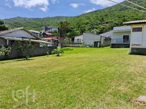 Image 7 - 303624