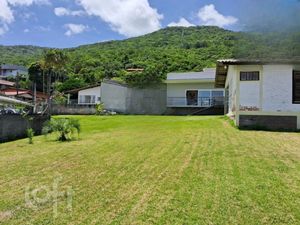 Image 9 - 303624