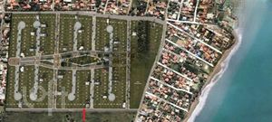 Image 24 - 303873