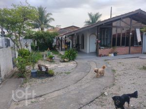 Image 5 - 304109