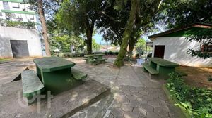 Image 23 - 304123