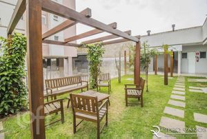 Image 35 - 304239