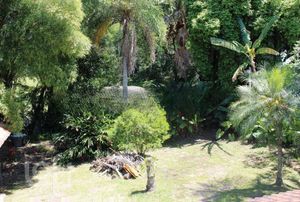 Image 24 - 304343