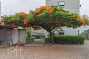 Image 33 - 304438