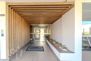Image 25 - 304455