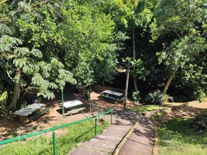 Image 41 - 304457