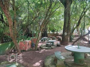 Image 42 - 304457