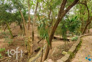 Image 28 - 304457