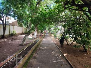 Image 32 - 304457
