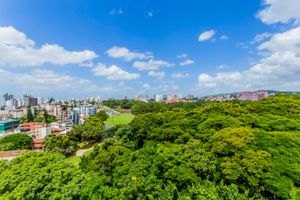 Image 19 - 304546